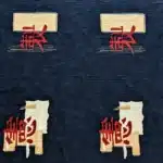 Feng Negro